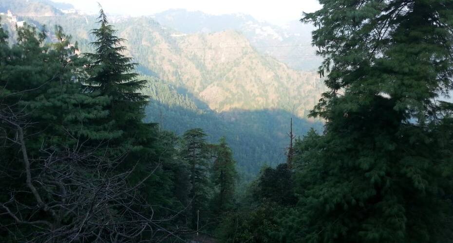 Hotel Woodpark, Shimla 5